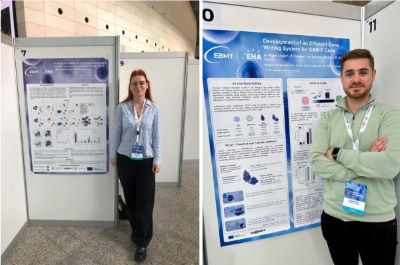 Len%20Alej%20up Len%20Alej%20up